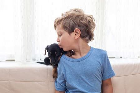 A boy with a little dog playing at homeの写真素材