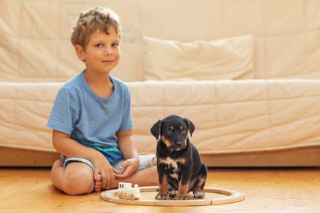 A boy with a little dog is playing in the nurseryの写真素材