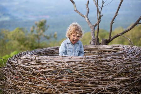 boy sitting in a large nest on a treeの写真素材