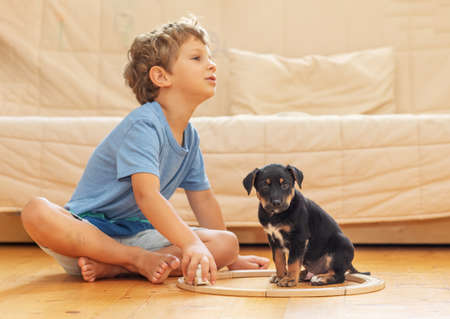 A boy with a little dog is playing in the nurseryの写真素材