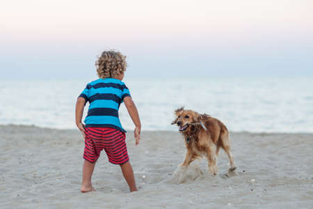 Curly boy playing with a dog by the seaの写真素材