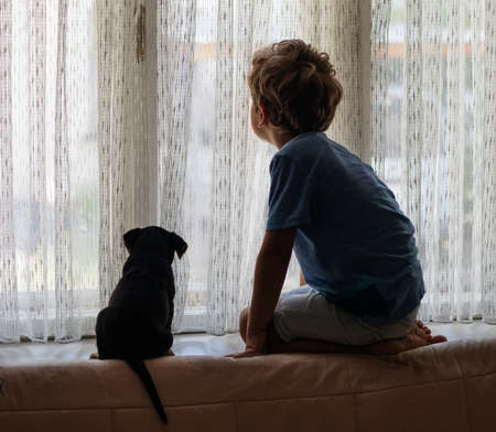 A boy with a little dog playing at homeの写真素材