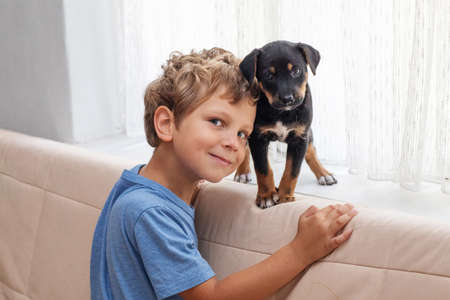 A boy with a little dog playing at homeの写真素材
