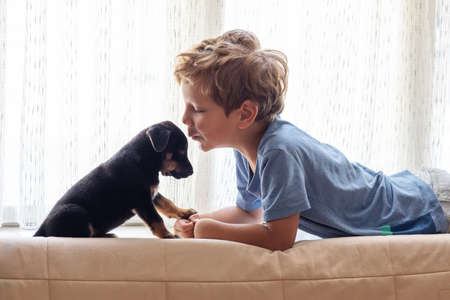 A boy with a little dog playing at homeの写真素材