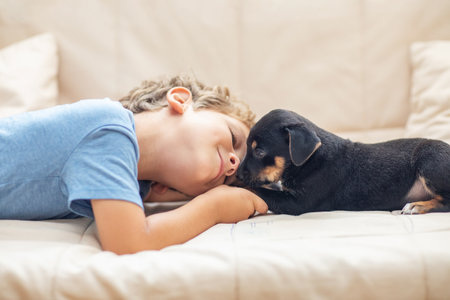 A boy with a little dog playing at homeの写真素材