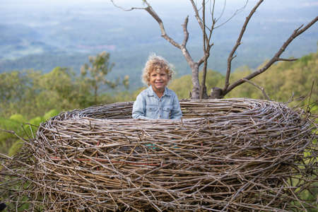boy sitting in a large nest on a treeの写真素材