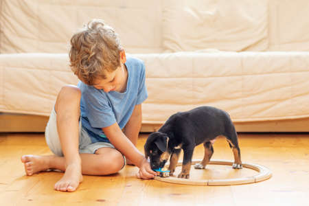 A boy with a little dog is playing in the nurseryの写真素材