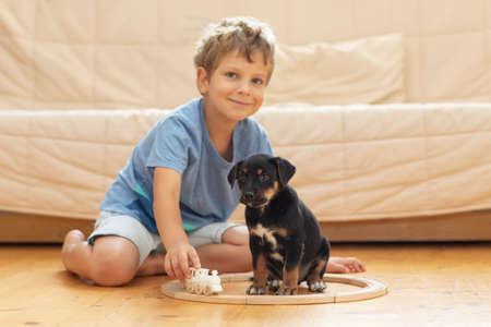 A boy with a little dog is playing in the nurseryの写真素材