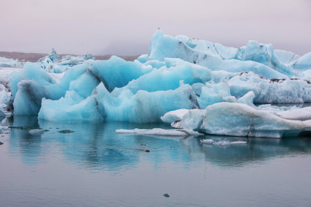 JÃ¶kulsÃ¡rlÃ³n -  Icelandic glacial river lagoon