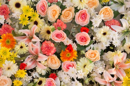 exotic flowers arrangement の写真素材