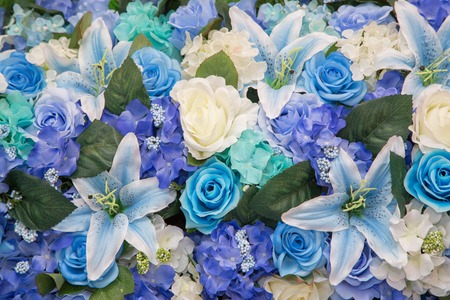 Beautiful wall made of red violet purple flowers, roses, tulips, press-wall, background, valentines day backgroundの写真素材