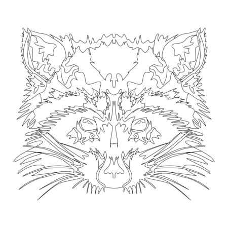 Cute raccoon head. Coloring with raccoon. Outline drawingの写真素材