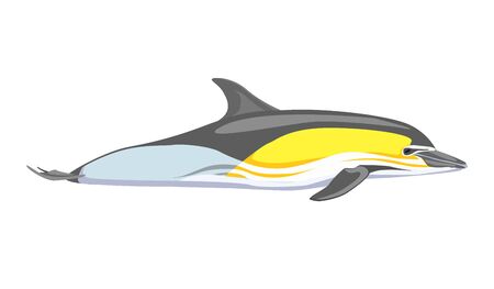 Color dolphin. Cute dolphins. Vector illustration Delphinus delphisのイラスト素材