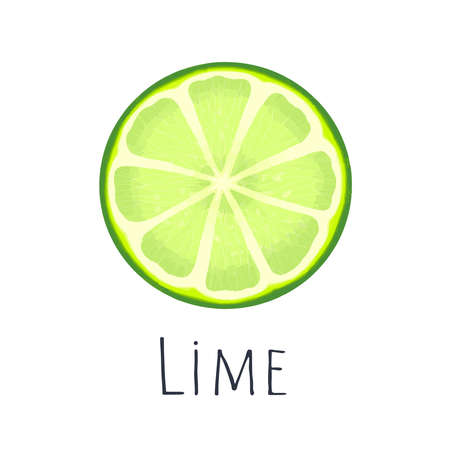 fresh lime on a white backgroundのイラスト素材