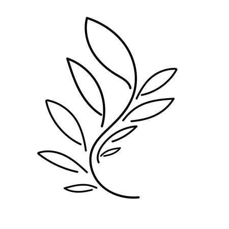 Branchout line. Vector illustration. Herbs and flowers. Leaf elements. Used for wallpaper, wrapping paper for printing, textiles. Nature style. Vintage pattern.のイラスト素材