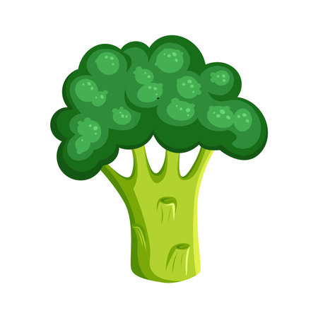 Fresh broccoli icon. Vector illustration of green broccoli For web design, print. Vegetables. Vegetarian. Vegan. Healthy food.のイラスト素材