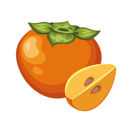 Fresh cartoon persimmon isolated on white background. Juice or jam logotype. Bright vector illustration of colorful half and whole of juicy persimmon.のイラスト素材