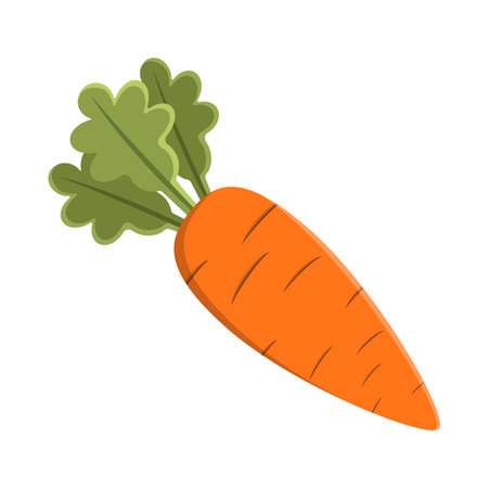 Carrot vector illustration. Fresh orange carrot with green leaf. Carrot icon, vegetable, orange, fresh, fruit, tasty, carrot icon, carrot symbol. Can use for infographic, banner, poster, web design. Isolated on white background.のイラスト素材