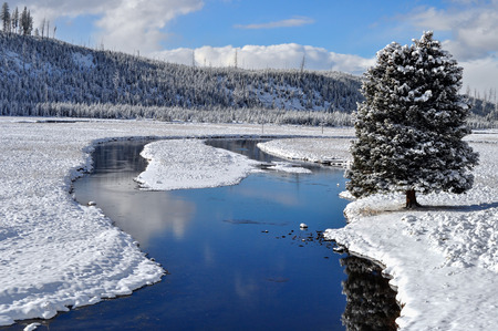 Snowy landscape of Yellowstone National Park in Wyoming, United Statesの写真素材