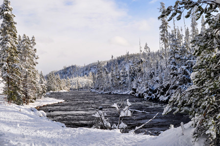 Snowy landscapes of Yellowstone Park, Wyomingの写真素材