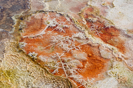 volcanic landscapes of Yellowstone Park, Wyomingの写真素材