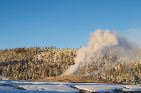 Old Faithful in Yellowstone Parkの写真素材