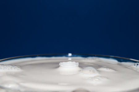 drop of milk frozen in time