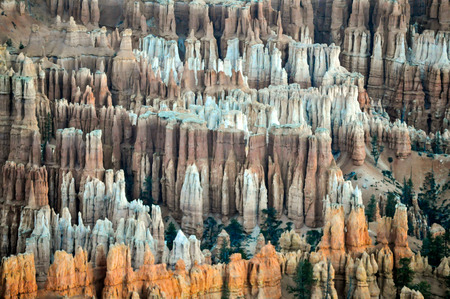 Hoodoos in Bryce Canyon National Park Amphitheater, Utah