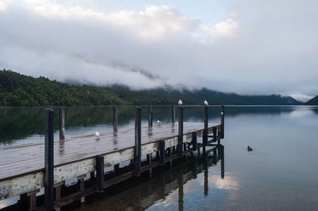 Tranquil scene at Nelson Lake National Park in the South Island of New Zealandの写真素材