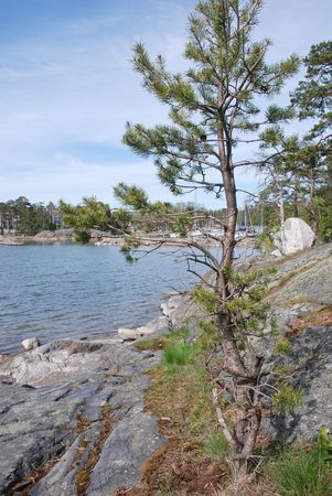 Gulf of Finland. Islandの写真素材