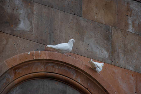 Two Pigeons are sitting on the armhole of the Church, With Close-upの写真素材