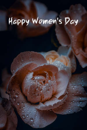 International Women's day background, Happy Women's dayの写真素材