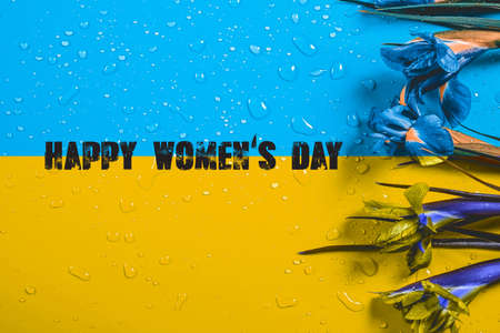 International Women's day background, Happy Women's day with Ukraine flag