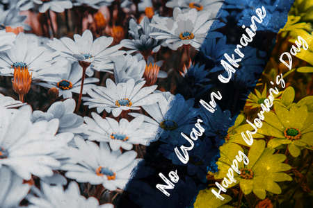 International Women's day background, Happy Women's day with Ukraine flagの写真素材