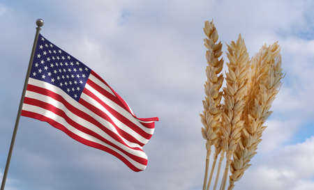 USA grain crisis, Concept global hunger crisis, Global food crisis, On background Flag USA wheat grain. Concept of growing wheat in USA, 3D work and 3D illustrationの写真素材