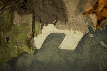 Autumn close up dirt tyreの写真素材