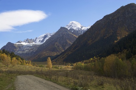 Road to Sophia autumn view. Arkhyz mountains caucasus region. Gold trees and white snow mountain.の写真素材