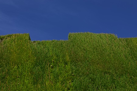 Green fence. Part of Grenada tower wallの写真素材
