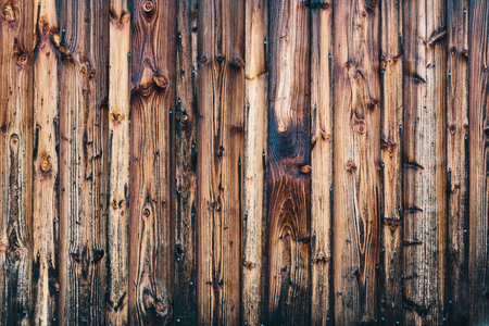 Wood Texture Backgroundの写真素材