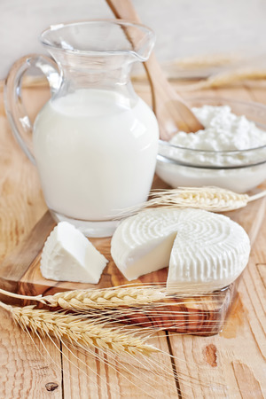 Milk, tzfat cheese and cottage cheese with wheat grains. Symbols of judaic holiday Shavuot. Selective focus.の写真素材