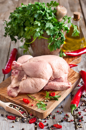 Raw chicken with spices and cilantro ready to be preparedの写真素材