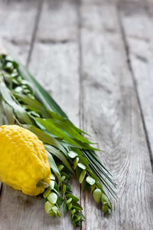 Symbols of jewish fall festival of Sukkot, lulav - etrog, palm branch, myrtle and willow - on old wooden background.の写真素材