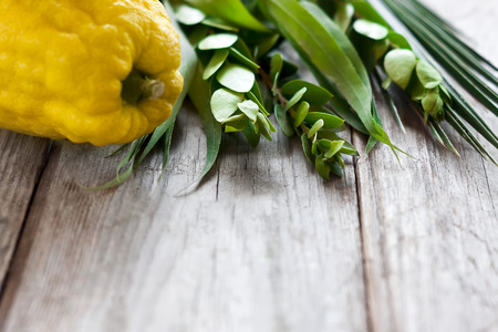 Symbols of jewish fall festival of Sukkot, lulav - etrog, palm branch, myrtle and willow - on old...