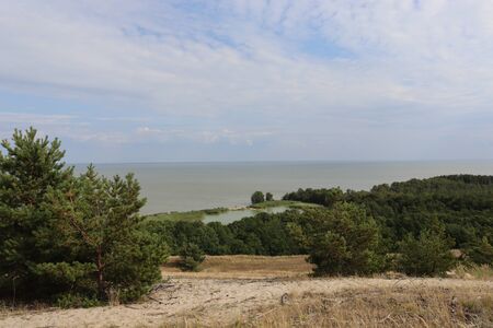 lake swanの写真素材