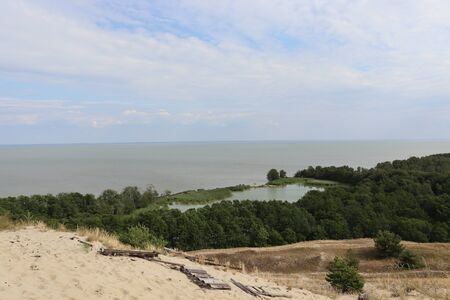 lake swanの写真素材