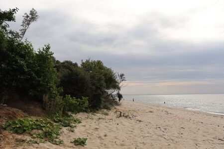 empty beachの写真素材