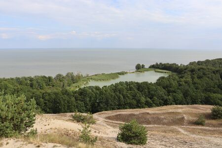 lake swanの写真素材