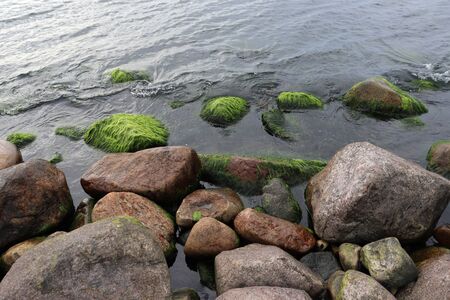 stony beachの写真素材