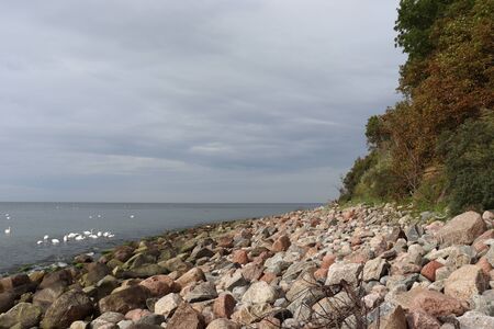 stony beachの写真素材