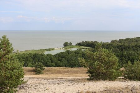 lake swanの写真素材